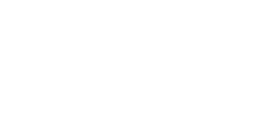 DMS white logo